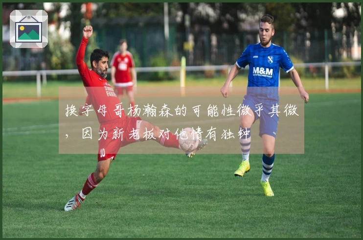 换字母哥杨瀚森的可能性微乎其微，因为新老板对他情有独钟